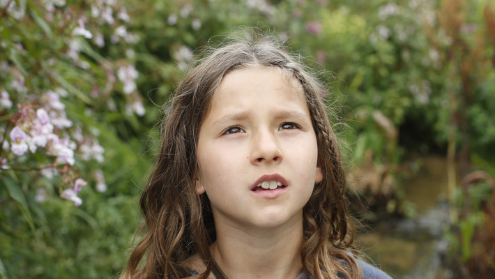 Jeannette, l'enfance de Jeanne d'Arc