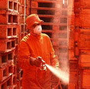 Aden (Le Dernier Maquis)