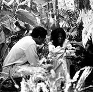 Independencia (Independence)