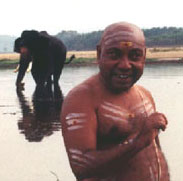 Arimpara