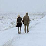 LABRADOR (Out of Bounds)