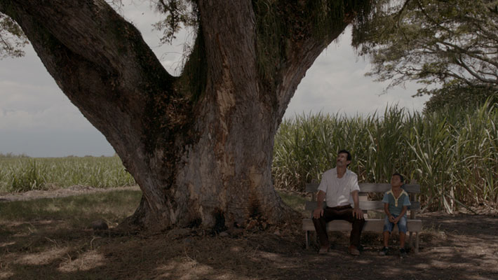 La tierra y la sombra