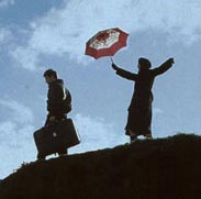 Coeur allume (Coracao Iluminado)