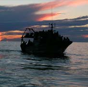 Une fois que tu es né...